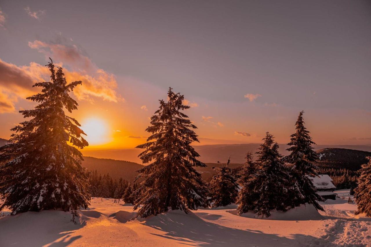 Gorskie Chatki Krysi I Piotrka Perlowy Stronie Śląskie Exterior foto